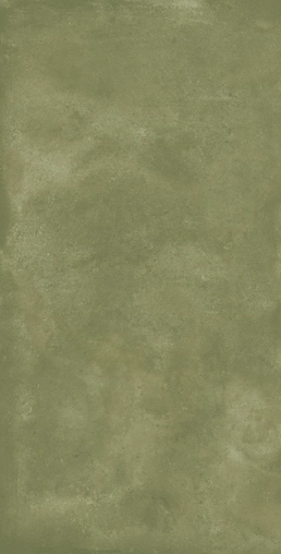 JODHPUR OREGANO
