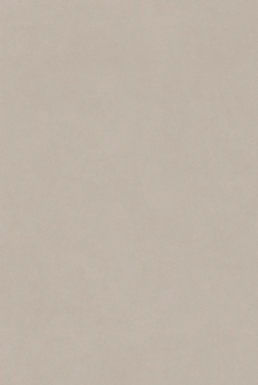 ALTIS TAUPE