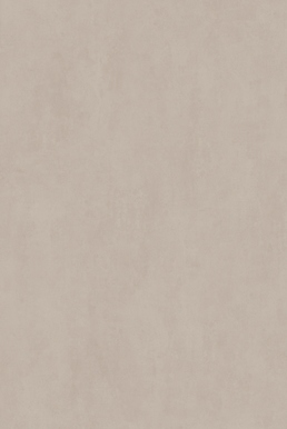 STREET TAUPE