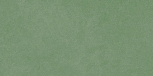 LEVIS GREEN