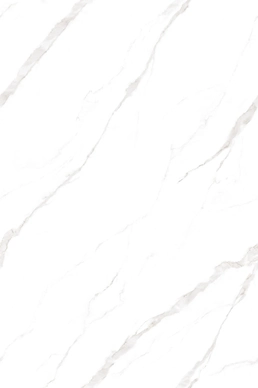 TORONTO WHITE ENDLESS (POLISH)