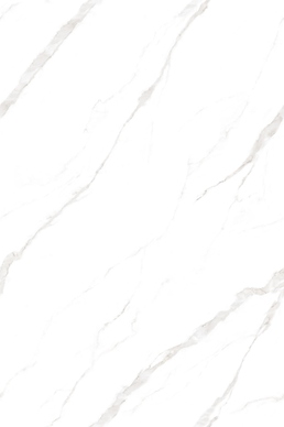 TORONTO WHITE ENDLESS