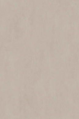 STREET TAUPE MATT