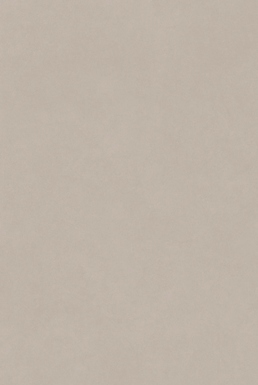 ALTIS TAUPE
