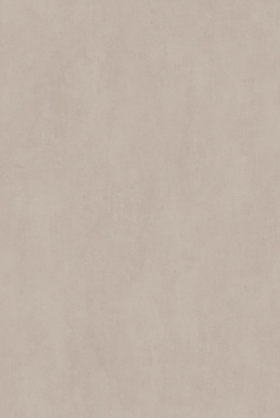 STREET TAUPE