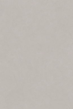 ALTIS GREY