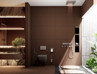 DUAL BROWN