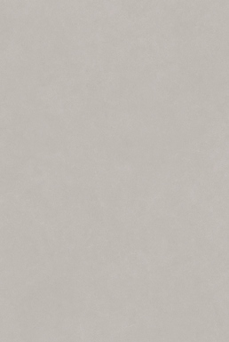 ALTIS GREY MATT