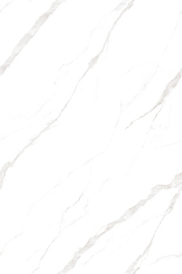 TORONTO WHITE ENDLESS