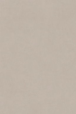 ALTIS TAUPE MATT
